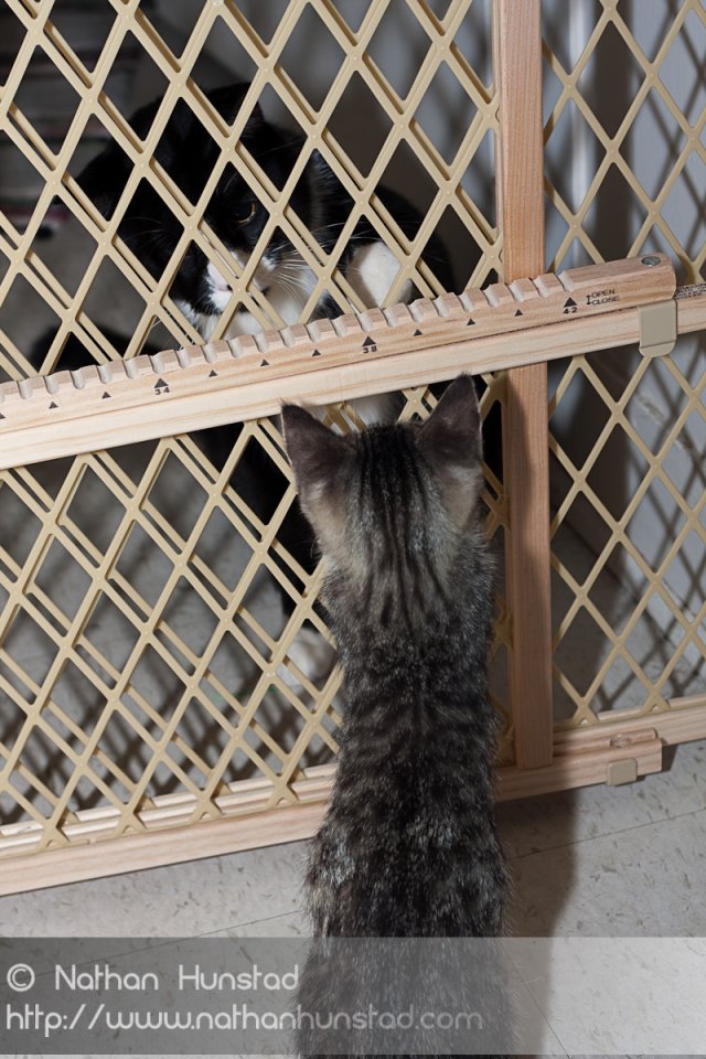 ???? and ???? figure out what to do with each other